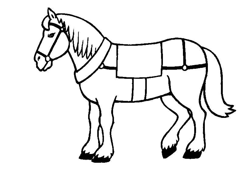 tier014.jpg