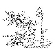 xmas001.jpg